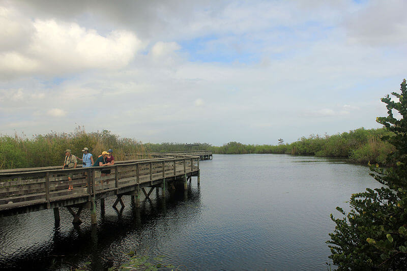 TOP 5 I migliori parchi naturali della Florida