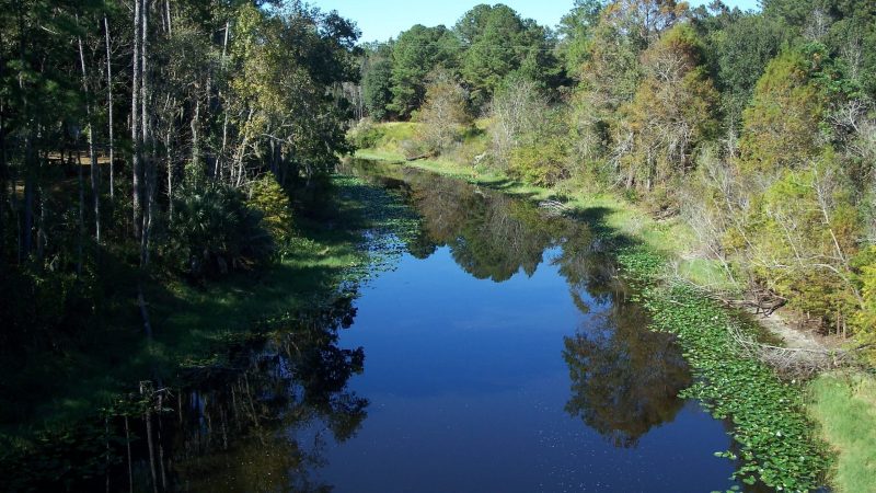 TOP 10 fiumi più conosciuti in Florida