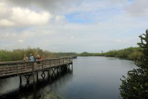 Parco nazionale delle Everglades