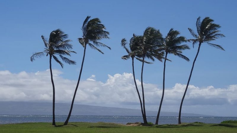 ¿Qual è la migliore isola delle Hawaii?