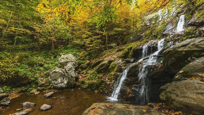 TOP 5 Bellissimi parchi nazionali in Virginia