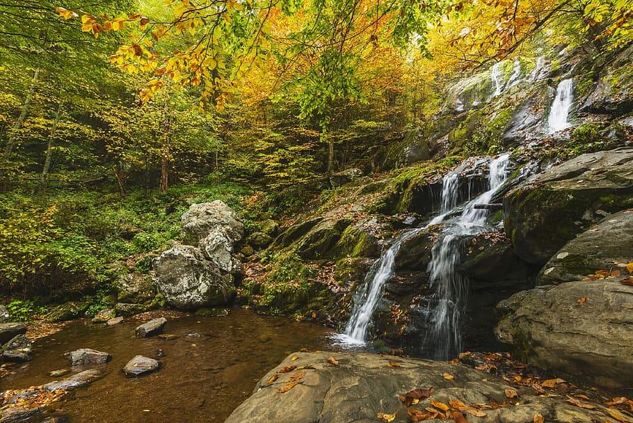 TOP 5 Bellissimi parchi nazionali in Virginia