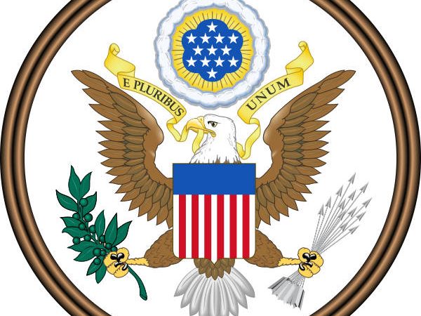 L’aquila calva: simbolo degli Stati Uniti con la testa bianca