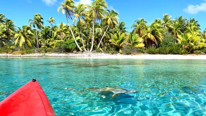 Luna di miele da sogno: tra Stati Uniti e Polinesia, il paradiso in coppia!