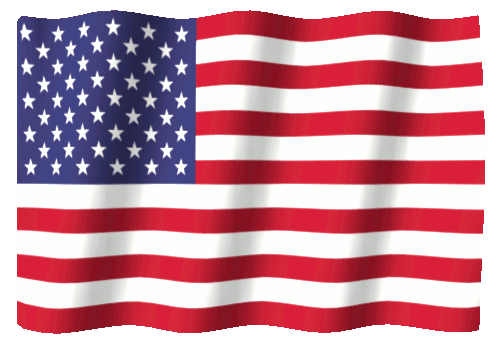 Stati Uniti d’America: la bandiera in un’irresistibile GIF!