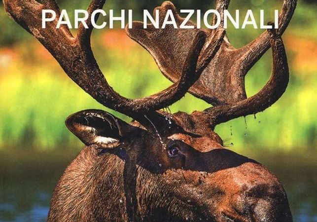 Stati Uniti: i Grandi Parchi secondo Lonely Planet – Scopri i tesori naturali in 70 caratteri